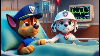 Paw Patrol The Mighty Movie | CHASE Got Sick! Please Get Well Soon My Friend! | Rainbow 3