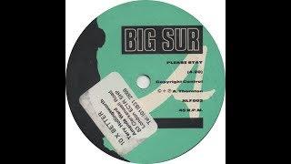 Big Sur feat Andy Thornton, Please Stay, Indi-Pop
