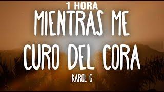 [1 HORA] KAROL G - Mientras Me Curo Del Cora (Letra/Lyrics)