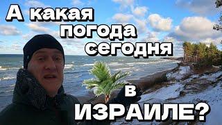 Семейная прогулка к морю зимой. Снежный лес: 23 ноября, ЛАТВИЯ, г.Вентспилс | ИЗРАИЛЬ, г.Ашкелон