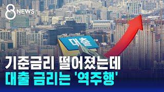 기준금리 떨어졌는데…대출 금리는 '역주행' / SBS 8뉴스