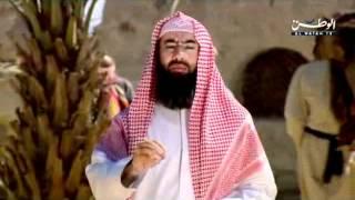 زوجات النبي عليه الصلاة والسلام أمهات المؤمنين