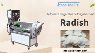 Radish slicing machine | Automatic vegetable cutting machine | #radish