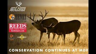 Conservation Continues at the Mule Deer Foundation