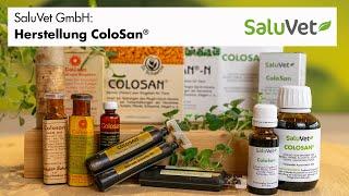 ColoSan® - Herstellprozess bei der SaluVet