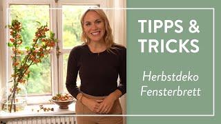 Tipps & Tricks: Herbstdeko Fensterbrett  I Westwing