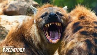 The Dark Side: Baby Animals Turn Into Deadly Predators | WORLD'S DEADLIEST: FULL SEASON MARATHON