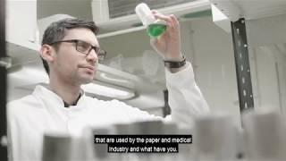 Master’s programme in Microbiology and Microbial Biotechnology | University of Helsinki