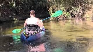 Kayaking Juniper Springs, Juniper run, Ocala National Forest Florida. Gators, wild America.