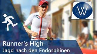 Runner's High, Läuferhoch und Endorphine: Euphorie und Schmerzen beim Marathon und Ironman