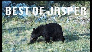 JASPER National Park: BEST PLACES to VISIT