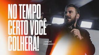 ANDRÉ FERNANDES | NO TEMPO CERTO VOCÈ COLHERÁ | LAGOINHA ALPHAVILLE