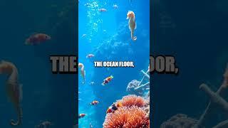 Exploring the Incredible World of Coral Reefs with Coral the Crab