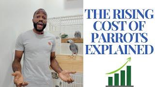 WHY Parrot Prices Are SKYROCKETING - Is This The END?