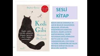 KEDİ GİBİ DÜŞÜNMEK VE DAVRANMAK | STEPHANE GARNİER