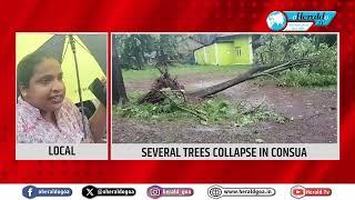 Herald TV English News Wrap 07 July 2024