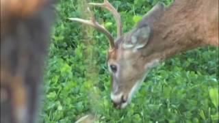 Spike Bucks: QDMA Management Minute