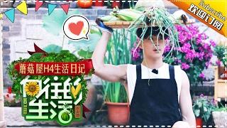 《向往的生活》蘑菇屋H4生活日记第2期20170111: Henry就地拔葱取食材 黄磊偷藏牛肉干在鞋里【湖南卫视官方频道】