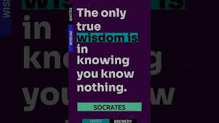 The Only True Wisdom Is In Knowing You Know Nothi... | Wisdom Quote By The Author Socrates