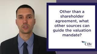 CBV Insights Litigation Video Series - Shareholder Disputes