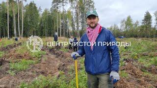 Лесопосадка Орехово-Зуевский район 25.09.2021