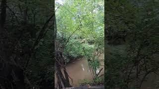 weird sounds in woods NJ while fishing might be a roster