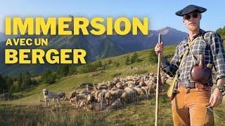 IL VIT SEUL DANS LA MONTAGNE | Immersion avec un berger