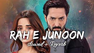 Rah e Junoon OST (Slowed Reverb) | Lofi Song | Danish Taimoor - Komal Meer