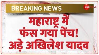 Maharashtra Election में फंस गया पेंच! अड़े अखिलेश | Breaking News |Akhilesh Yadav | MVA Seat sharing