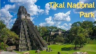 Exploring the Mysteries of Tikal National Park, Guatemala