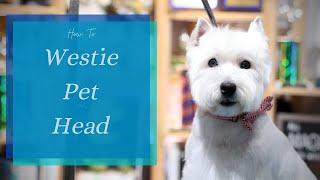 How to Do a Westie Pet Head | with Master Groomer