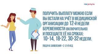 Ежемесячная выплата женщинам, вставшим на учет в ранние сроки беременности