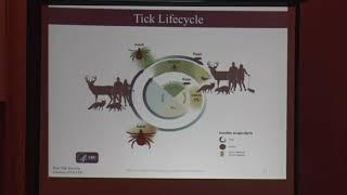 Vectorborne Diseases -- Maine Center for Disease Control and Prevention
