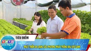 Phát triển đa dạng các phương pháp trồng rau khí canh | THTG