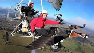 Vol en ULM avec les oies, grues, cygnes.