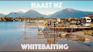 Whitebaiting West Coast New Zealand (Haast)