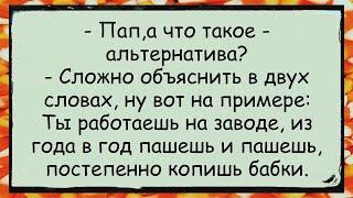  Как Отец Объяснял Сыну, что Такое АЛЬТЕРНАТИВА анекдоты юмор смех