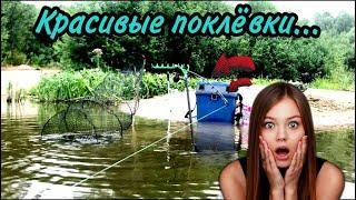 ТОП поклёвок на фидер. Фидер в дугу! Лучшие поклёвки на удочку. Рыбалка на фидер. Подборка поклёвок