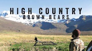 High Country Brown Bears, Alaska Brown Bear Hunting