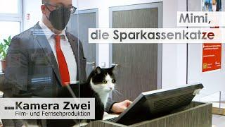 Katze besucht jeden Tag die Sparkasse | Kamera Zwei