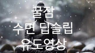 "Relaxing Sleep Video to Help You Fall Asleep in 30 Minutes" 30분안에 꿀잠보장하는 수면영상
