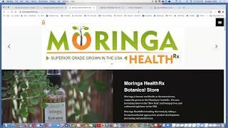 Moringa and Immune