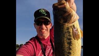 Duo Realis Pencil 110 Largemouth Bass - My Favorite Topwater Lure