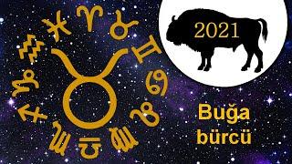 Buğa bürcü Öküz ilində | Bürclər üçün 2021-ci ilin maliyyə proqnozu