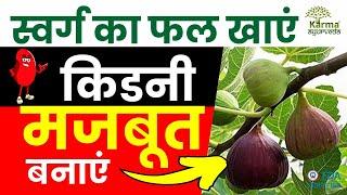 स्वर्ग का फल खाये किडनी मजबूत बनाये | Anjeer ke fayde | karma Ayurveda review | kidney diet