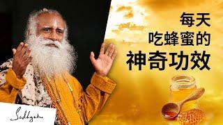 超级食物：每天吃蜂蜜的神奇功效 | Sadhguru 萨古鲁