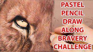 Pastel Pencil Lion Eye Drawing Challenge - Wildlife Art - Draw Along