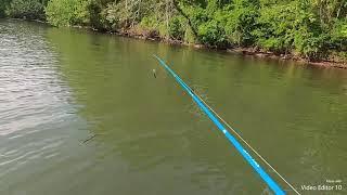 kayak bass fishing OLD HICKORY LAKE