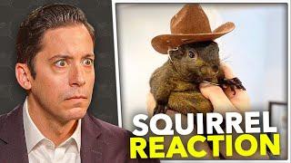 JUSTICE for Peanut the Squirrel!