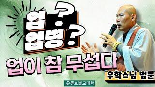 [불교] 우학스님 생활법문 (다시 건강할 수 있는 법)